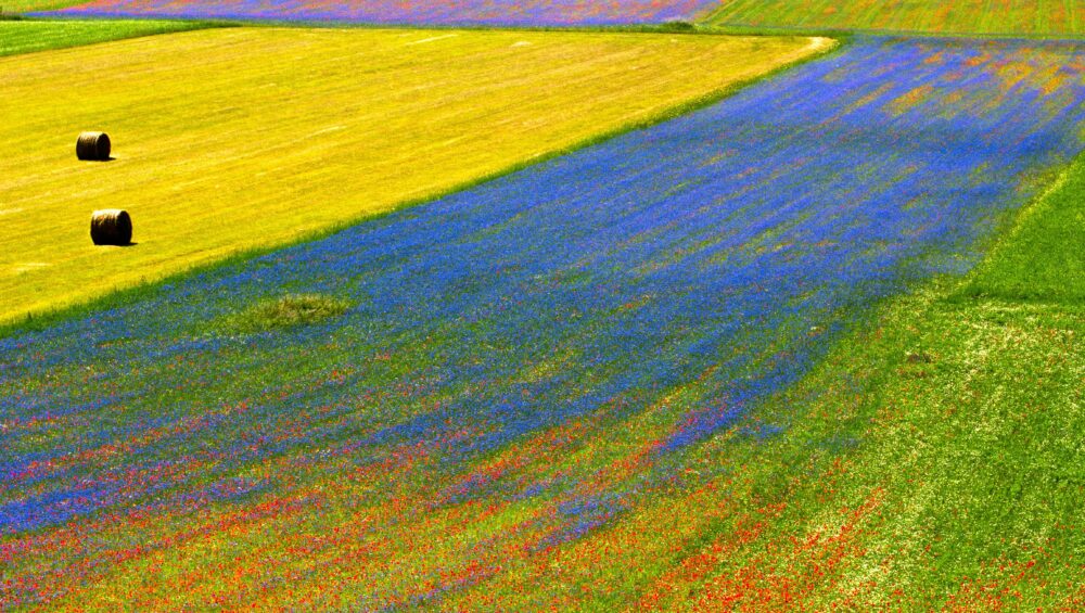 umbria castelluccio di norcia tradizione umbra